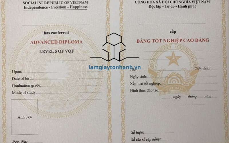 Bằng cao đẳng chính quy là gì?