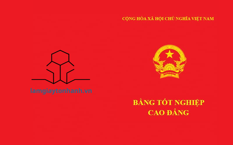 Cơ hội gia nhập thị trường lao động sớm hơn với dịch vụ in ấn làm bằng cao đẳng