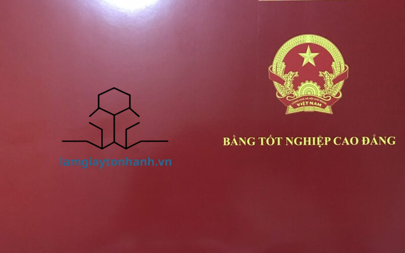 Quy trình in bằng Cao đẳng nhanh tại Lamgiaytonhanh
