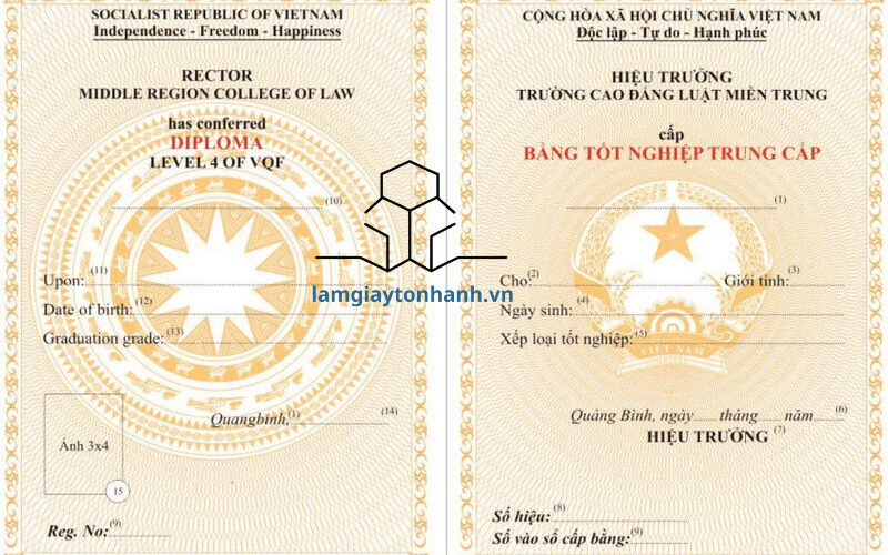 Quy trình in bằng Trung cấp nhanh tại Lamgiaytonhanh
