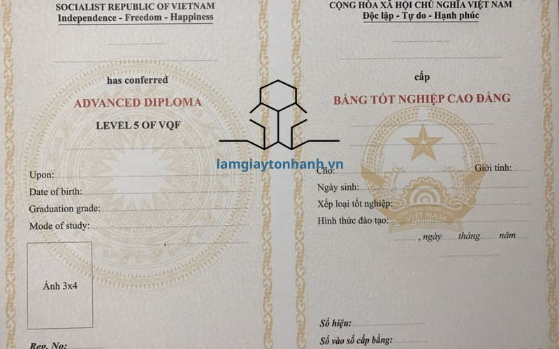 Các trường hợp được xét tuyển Cao đẳng chính quy