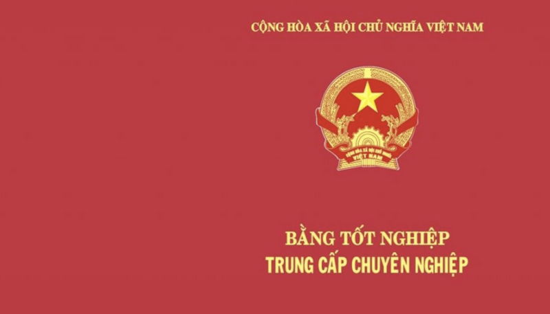 Chương trình Trung cấp chuyên nghiệp
