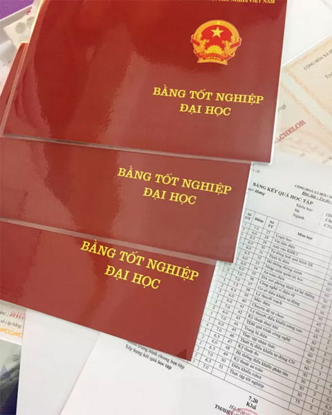 Danh sách các trường Đại học nổi tiếng được hỗ trợ in bằng tại Lamgiaytonhanh