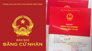 Phân tích: Bản sao bằng đại học có giá trị không?