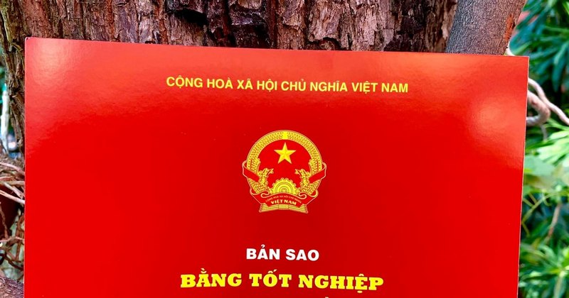 'Bản sao được chứng thực từ bản chính theo quy định tại Nghị định này có giá trị sử dụng thay cho bản chính đã dùng để đối chiếu chứng thực trong các giao dịch, trừ trường hợp pháp luật có quy định khác.'