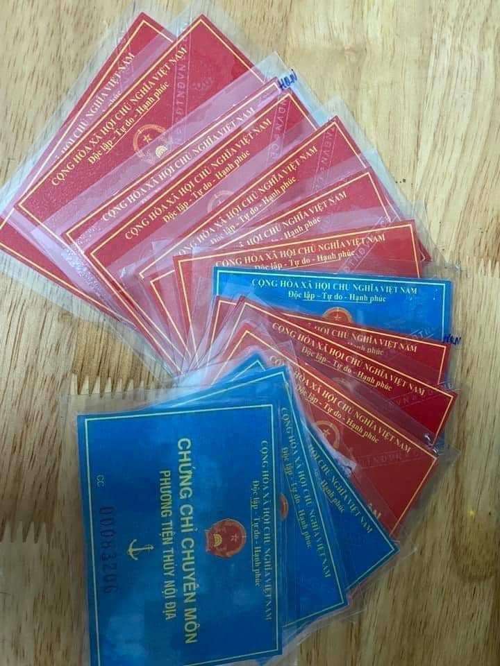 Giải đáp các câu hỏi thường gặp khi tra cứu