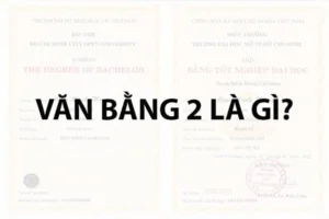Văn bằng 2 là gì?