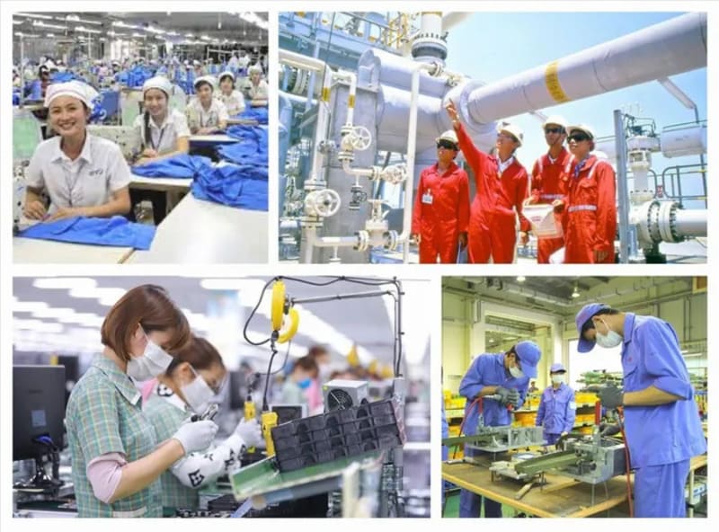 Vai trò và tầm quan trọng đối với người lao động và doanh nghiệp
